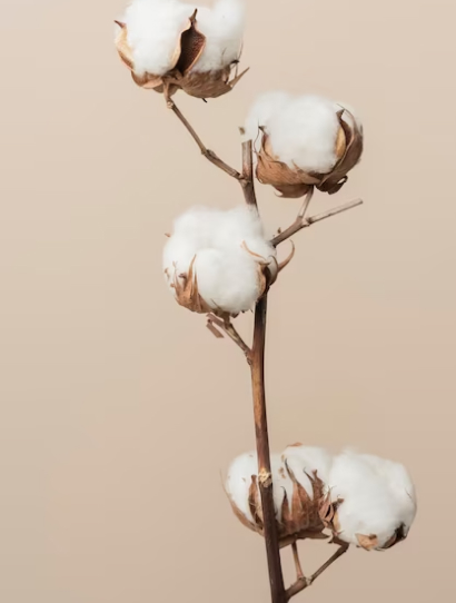 Μικρογραφία